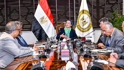 وزيرة البيئة تبحث مع «البترول» و «الكهرباء» تشجيع استثمارات تحويل المخلفات إلى طاقة
