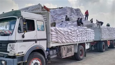 وزير التموين: زيادة معدلات ضخ السكر من شركات التوزيع للقطاع الخاص