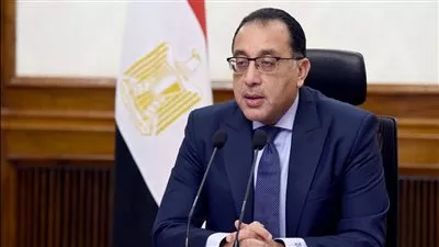 رئيس الوزراء يصدر قراراً باعتبار 7 سلع من المنتجات الاستراتيجية