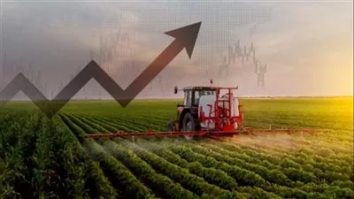 «التخطيط القومي»: فتح 22 سوق جديدة أمام الصادرات الزراعية المصرية خلال 2022 