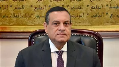 وزير التنمية المحلية يعلن جاهزية المحافظات لاستقبال الانتخابات الرئاسية 2024
