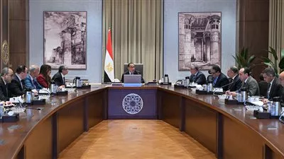 رئيس الوزراء يتابع موقف تخصيص أراضي مشروعات إنتاج الهيدروجين الأخضر 