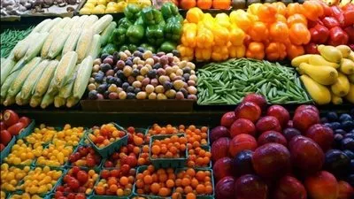 ارتفاع صادرات الحاصلات الزراعية إلى 3.566 مليار دولار خلال 2022-2023