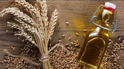 وزير التموين: احتياطي القمح يكفي 4.8 شهر والزيت 6 أشهر