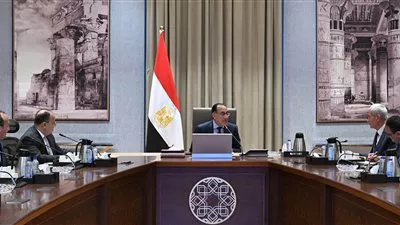 «مدبولي» يتابع آليات توفير الاعتمادات المالية لهيئة الشراء الموحد لدعم القطاع الصحي 