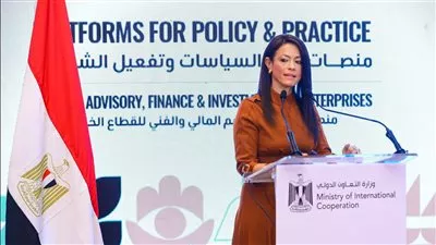 «التعاون الدولي»: 4.1 مليار دولار معدل السحب السنوي من محفظة التمويل الإنمائي