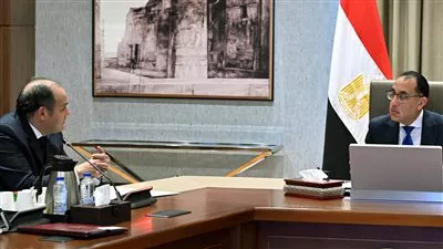 الحكومة تدرس مقترحات إقامة مراكز تجارية مصرية متكاملة في إفريقيا