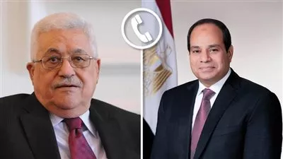 الرئيس السيسي يؤكد موقف مصر الثابت دعمًا للقضية الفلسطينية