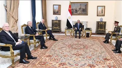 السيسى يؤكد ضرورة السعي لإيجاد حلول سياسية للأزمة الحالية بغزة