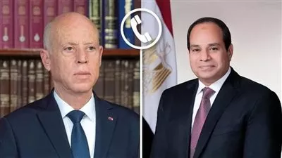 الرئيس السيسي ونظيره التونسي يؤكدان الحرص على تعزيز التعاون في كافة المجالات 