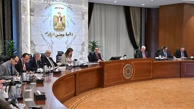  الحكومة توافق على شراكة مع القطاع الخاص لإدارة مدارس «النيل» و «اليابانية» 