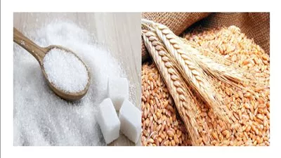 وزير التموين: احتياطي القمح يكفي 4.3 شهر والسكر 5.3 شهر