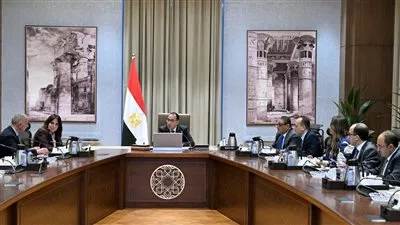 رئيس الوزراء: أولوية لدعم مشروعات المدارس الفنية والجامعات التكنولوجية