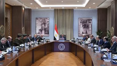 رئيس الوزراء يتابع موقف أعمال تطوير بحيرة البرلس