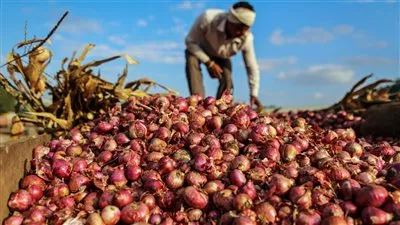 النيابة العامة تقرر تسليم 567 طن بصل لـ«التموين» لبيعها للمواطنين