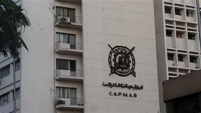 «الإحصاء»: وصول عدد سكان مصر بالداخل إلى 106 ملايين نسمة