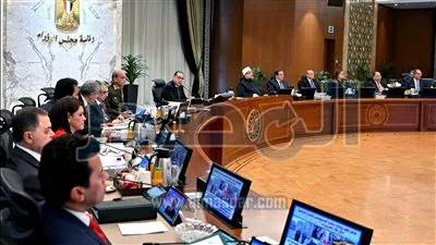مجلس الوزراء يوافق على تخصيص أراضي للشركات بنظام البيع بالدولار
