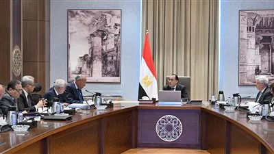 تشكيل مجموعة عمل وزارية لوضع خطة متكاملة لتصدير العمالة المصرية المدربة