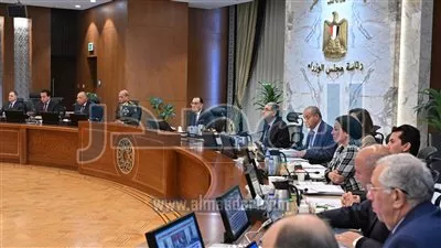 الحكومة: تطوير منصة تسجيل بيانات شركات الإنتاج والتوزيع الغذائي للسلع الاستراتيجية