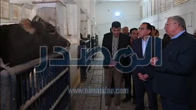 رئيس الوزراء: تنمية الثروة الحيوانية على رأس اهتمامات الحكومة لتحقيق الأمن الغذائي 
