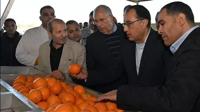 «مدبولي»: الحكومة تعمل على تحفيز القطاع الخاص لزيادة الإنتاج الزراعي ونمو الصادرات 