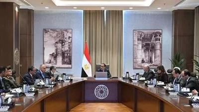 رئيس الوزراء يتابع خطوات تنفيذ مشروع استصلاح 500 ألف فدان بوسط وشمال سيناء