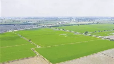 إبراهيم عشماوي: طرح عدداً من الحاصلات الزراعية والسلع الغذائية بالبورصة السلعية قريباً 