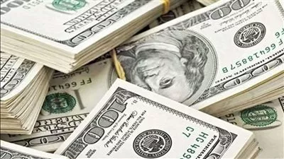 سعر الدولار في البنوك المصرية اليوم الاثنين 22 يناير 2024