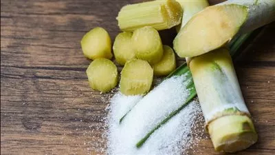 وزارة التموين: توريد 1.05 مليون طن قصب وإنتاج 100.8 ألف طن سكر