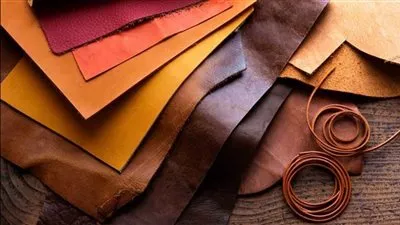 صادرات مصر من الجلود ومنتجاتها تقفز 25% في 2023