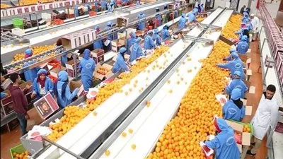 ارتفاع صادرات مصر من الصناعات الغذائية لمستوى تاريخي في 2023