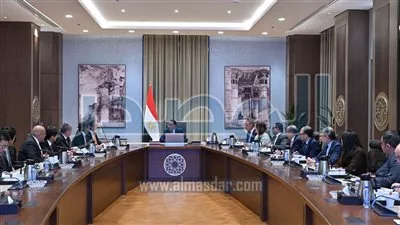 «يازاكي» اليابانية تبدأ تصنيع ضفائر السيارات بالفيوم باستمارات 30 مليون يورو