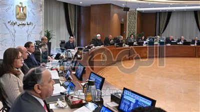 وزير المالية: 667 مليون دولار إجمالي تحويلات مبادرة استيراد سيارات المصريين بالخارج