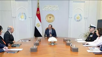 الرئيس السيسي يؤكد ترحيب مصر باستمرار التعاون مع «داسو» الفرنسية