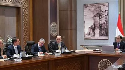 رئيس الوزراء يستعرض مع مسئولي «شنايدر إليكتريك» مبادرة إنشاء 1000 منزل ذكي