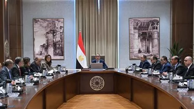 مدبولي يوجه بتشكيل لجنة لوضع معايير إنشاء المناطق الحرة الخاصة