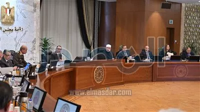  مجلس الوزراء يوافق على تخصيص قطعة أرض لإقامة صوامع غلال في الجيزة