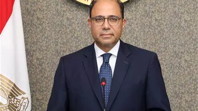 «الخارجية المصرية»: تصريحات وزير المالية الإسرائيلي تحريضية وغير مقبولة 