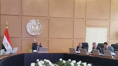 زيادة رأس مال الشركة القابضة للكهرباء إلى 85.246 مليار جنيه