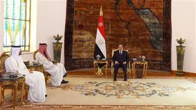 السيسي يبحث مع رئيس مجلس الوزراء القطري جهود وقف إطلاق النار بغزة