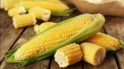 «السلع التموينية» تتعاقد على شراء 120 ألف طن ذرة صفراء أوكراني