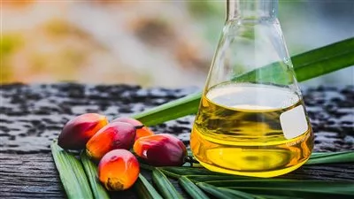 سفير القاهرة يبحث مع وزير السلع الماليزى التعاون لتكرير زيت النخيل بمصر