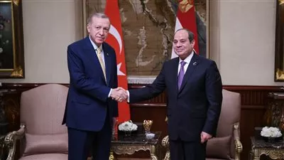 الرئيس السيسي ونظيره التركي يؤكدان ضرورة الوقف الفوري لإطلاق النار في غزة