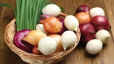 بدء «تكويد» مزارع البصل في مصر استعدادا لاستئناف تصديره 