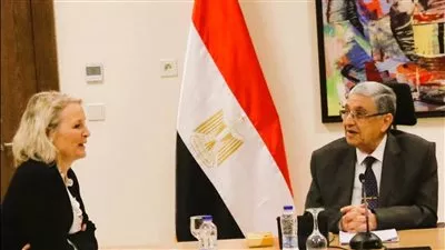 وزير الكهرباء يبحث سبل تعزيز التعاون مع مفوضية الطاقة الأوروبية 