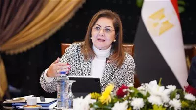 وزيرة التخطيط: 2 تريليون جنيه استثمارات كلية مستهدفة في 2024-2025