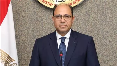 مصر تؤكد أمام العدل الدولية مخالفة إسرائيل للقانون الدولي في الأراضي المحتلة