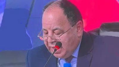 وزير المالية: الاقتصادات الناشئة تحتاج لدعم متزايد من بنوك التنمية متعددة الأطراف