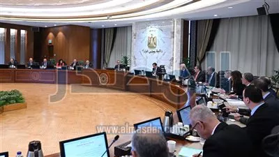 مجلس الوزراء يوافق على منح الرخصة الذهبية لشركة ايس لينكس 