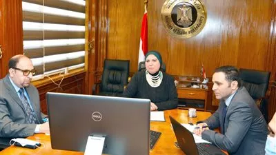 وزيرة الصناعة: إنشاء منصة تجارة إلكترونية إفريقية